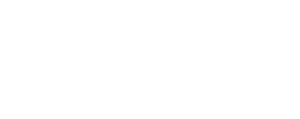 Endovision